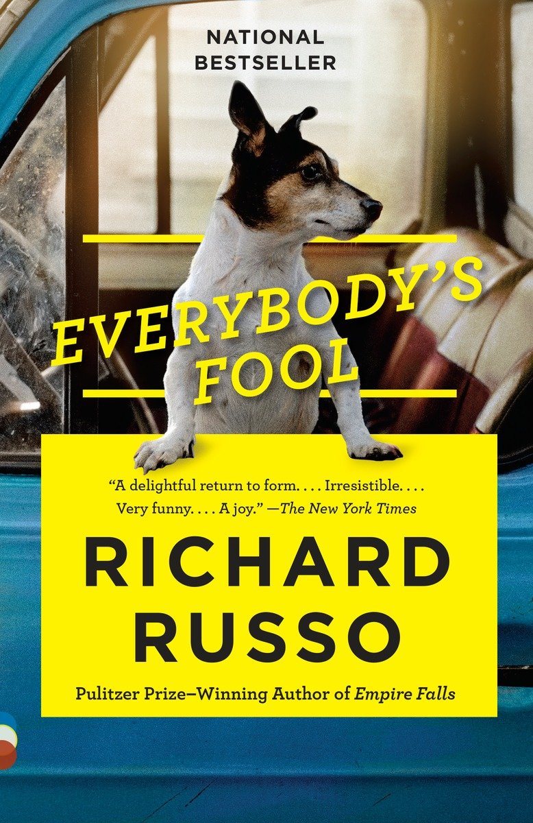 Everybodys fool - a novel