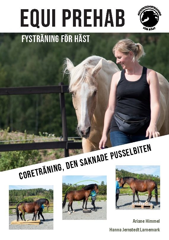 Equi Prehab : Fysträning för häst