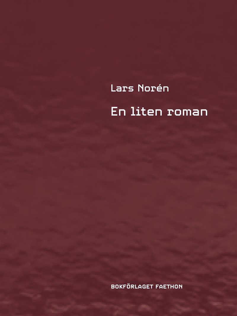 En liten roman