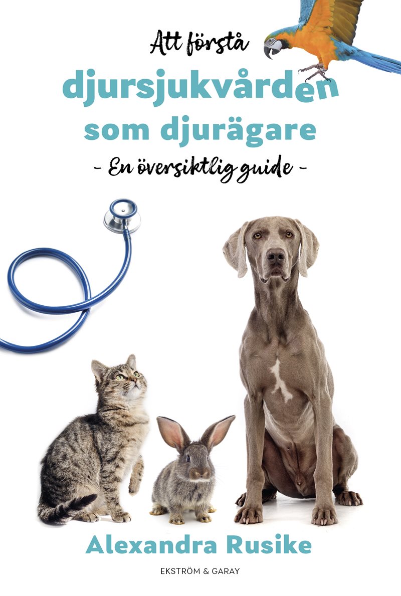 Att förstå djursjukvården som djurägare - en översiktlig guide