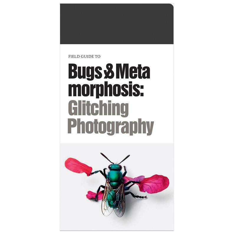 FIELD GUIDE TO BUGS & METAMORPHOSIS: GLITCHING PHOTOGRAPHY