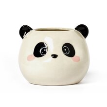 Panda pennkopp